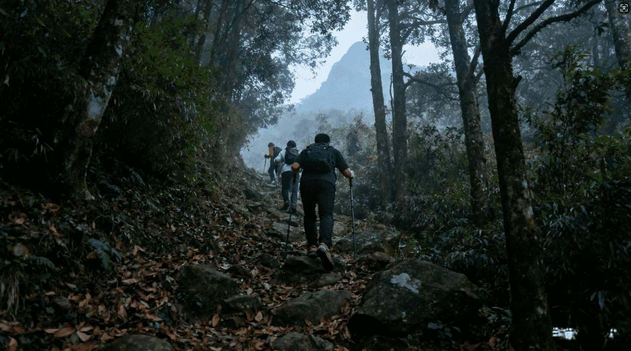 小火箭加速器好用不好用详解与评测